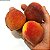 PÊSSEGO (Prunus persica) - Muda enxertada com até 1 metro - Imagem 2