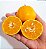 LIMÃO CRAVO ou ROSA (Citrus limonia) - Muda enxertada com 1 metro - Imagem 2