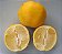 LIMÃO DOCE (Citrus limetta) - Muda enxertada com até 1 metro - Imagem 2