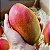 MANGA PALMER (Mangifera indica) - Muda enxertada com até 1 metro - Imagem 1