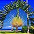 ÁRVORE DO VIAJANTE ou RAVENALA (Ravenala madagascariensis) - Muda com 80 cm - Imagem 1