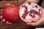 ROMÃ GIGANTE AMERICANA (Punica granatum) - Muda com até 1 metro - Imagem 1