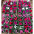 CYCLAMEN CORES (Cyclamen persicum) - Pote 15 - Imagem 5