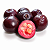 ARAÇÁ ROXO ou UNA (Psidium myrtoides) - Muda com até 80 cm - Imagem 1