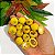 ARAÇÁ PIRANGA (Eugenia leitonii) - Muda com até 60 cm - Imagem 9