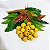ARAÇÁ PIRANGA (Eugenia leitonii) - Muda com até 60 cm - Imagem 8