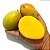 MANGA PELE DE MOÇA (Mangifera indica) - Muda Enxertada com até 1 metro - Imagem 1