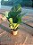 Anthurium jenmanii - Pote 19 - Imagem 4