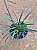 GRAMA BLACK (Ophiopogon planiscapus) - Pote 15 - Imagem 3