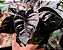 Alocasia infernalis - Pote 12 - Imagem 4