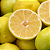 LIMA DA PÉRSIA (Citrus limettioides) - Muda Enxertada com até 1 metro - Imagem 1