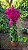 PRIMAVERA DOBRADA PINK (Bougainvillea spectabilis) - Muda com até 1,20m - Imagem 2