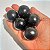 JABUTICABA PONHEMA (Plinia cauliflora) - Muda com até 60 cm - Imagem 3
