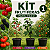 KIT 1 FRUTÍFERAS PARA VASO - Amora Preta, Acerola, Pitanga - Imagem 1