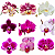 ORQUÍDEA PHALAENOPSIS CORES - Pote 11 - Imagem 3