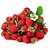 MORANGO ORNAMENTAL SILVESTRE - Sementes - Imagem 2
