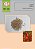 TOMATE CEREJA - Sementes - Imagem 3