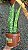 COROA DINAMARQUESA ou Sansevieria (sp.) - Pote 15 - Imagem 2
