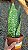 COROA DINAMARQUESA ou Sansevieria (sp.) - Pote 15 - Imagem 1