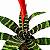 ESPADA DE FOGO (Vriesea splendens) - Pote 15 - Imagem 2