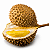 DURIAN ou DURIÃO (Durio zibethinus) - Muda com até 1 metro - Imagem 4