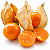 FISÁLIS (Physalis) - Pote 15 - Imagem 1