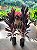 DRACENA CHOCOLATE ou MARROM (Cordyline fruticosa) - Muda com - Imagem 3