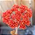 PLANTA HÉLICE (Crassula falcata) - Pote 11 - Imagem 3