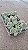 CACTO CÉREBRO VERDE (Austrocylindropuntia subulata v. cristata) - Pote 11 - Imagem 4