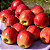 MAÇÃ JULIETA (Malus x domestica) - Muda Enxertada com até 1,20m - Imagem 2
