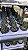 Haworthia pumila - Pote 6 - Imagem 2
