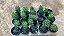 Haworthia pumila - Pote 6 - Imagem 4