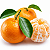 MEXERICA ou TANGERINA RIO CARIOQUINHA (Citrus deliciosa) - Muda Enxertada com até 1 metro - Imagem 1
