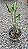 Syngonium podophyllum 'Godzilla' - Pote 11 ou 12 - Imagem 8
