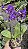 ORQUÍDEA VIOLETA AURORA - Phalaenopsis Mini - Pote 9 - Imagem 1