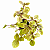 ESPORA DOURADA (Plectranthus 'Easy Gold') - Imagem 4