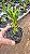 CRÓTON ZANZIBAR (Codiaeum variegatum 'Zanzibar') - Pote 11 - Imagem 4