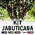 KIT JABUTICABAS - Híbrida, Sabará, Olho de Boi, Branca e Ponhema - Imagem 1