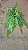 SAMAMBAIA HOLANDESA DE METRO (Nephrolepis exaltata) - Cuia 21 - Imagem 7