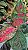 Aglaonema Suksom e Suksom Premium (Jaipong) - Pote 12 - Imagem 2