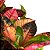 CRÓTON ICETON (Codiaeum variegatum 'Iceton') - Pote 15 - Imagem 1