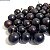 JABUTICABA DE CABINHO (Plinia peruviana) - Muda com até 40 cm - Imagem 1