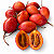 TOMATE FRANCÊS ou TAMARILHO (Solanum betaceum) - Muda com até 70 cm - Imagem 4