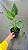 Alocasia cucullata - Pote 17 com até 60 cm - Imagem 5