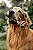 KNOT PELE BOVINA - 1 UNID - NATUKA - Imagem 4
