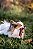 AORTA BOVINA - 4 UNID - NATUKA - Imagem 1