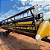 COLHEITADEIRA NEW HOLLAND 5090 - 2019 - Imagem 5