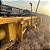 COLHEITADEIRA NEW HOLLAND CR9060 - ANO 2010 - Imagem 8