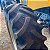 TRATOR VALTRA BM 125 - Ano 2013 - Imagem 7
