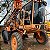 UNIPORT JACTO STAR 2500 - Ano 2010 - Imagem 2